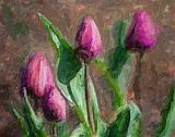 Four Young Tulips_53156art